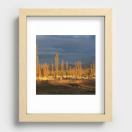 Argentina Photography - Trees In The Warm Sunset Recessed Framed Print