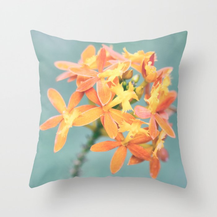 Pastel Tint Of Orchid Epidendrum Radicans Close Up Photography Throw Pillow