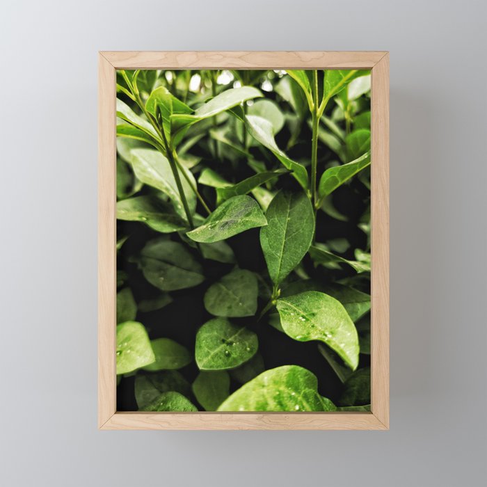 nature love Framed Mini Art Print