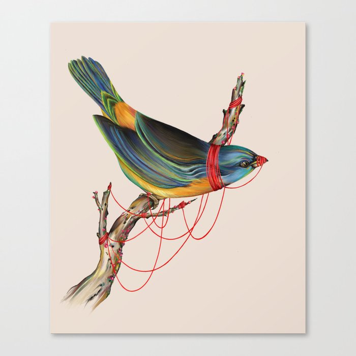 The Birdcage Canvas Print