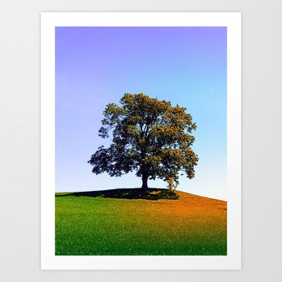 Posing tree on a hill in summertime Art Print