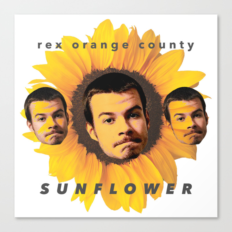 Rex Orange County Sunflower Canvas Print By Skiggyy Society6