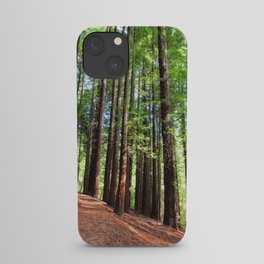 Sequoias in Cabezon de la Sal, Spain. iPhone Case