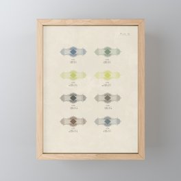 Re-make of Plate 13 from The color printer by John F. Earhart, 1892 (vintage wash) Framed Mini Art Print