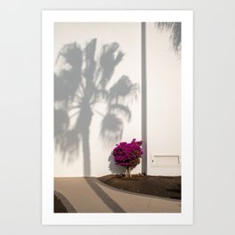 Pink nature Palmtree shadow | Playa Blanca Lanzarote | Minimal fine art travel photography print | Art Print