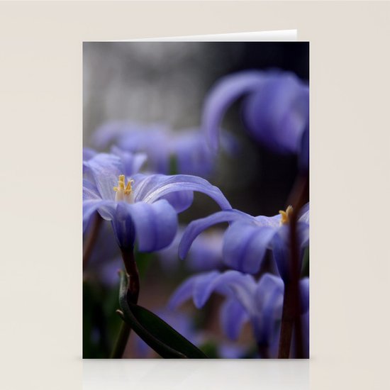 Purple Stationery Cards