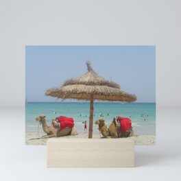Camels on the beach  Mini Art Print