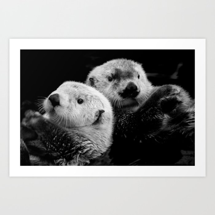 Sea Otter Pair in Black and White Art Print