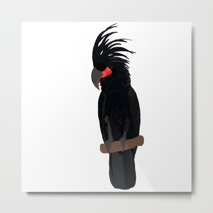 Palm cockatoo bird Metal Print
