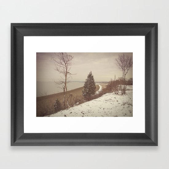 Evergreen Framed Art Print