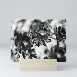 Desert Wild Flowers Mini Art Print