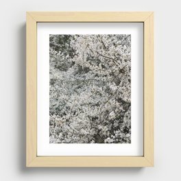 White Flower Recessed Framed Print