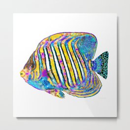 Colorful Angelfish Art - Beach Queen - Sharon Cummings Metal Print