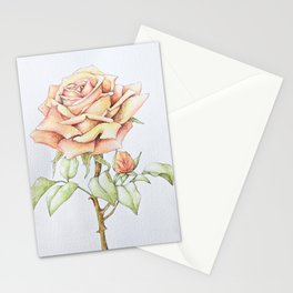 Pink Rose Stationery Cards