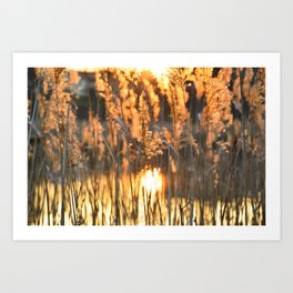 Rising Sun Art Prints Society6
