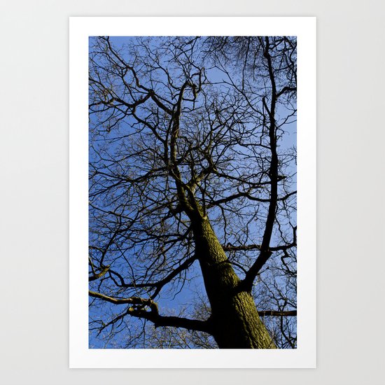 Wild Wood Tree Art Print