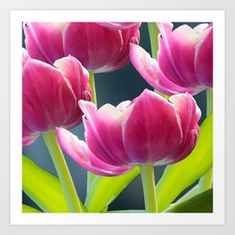 Tulip Bouquet Spring Atmosphere #decor #society6 #buyart Art Print
