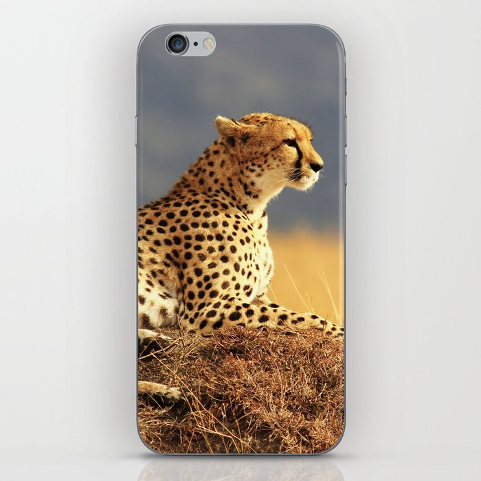 Cheetah on the hill iPhone Skin