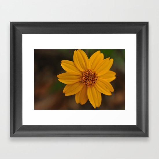 yellow Framed Art Print