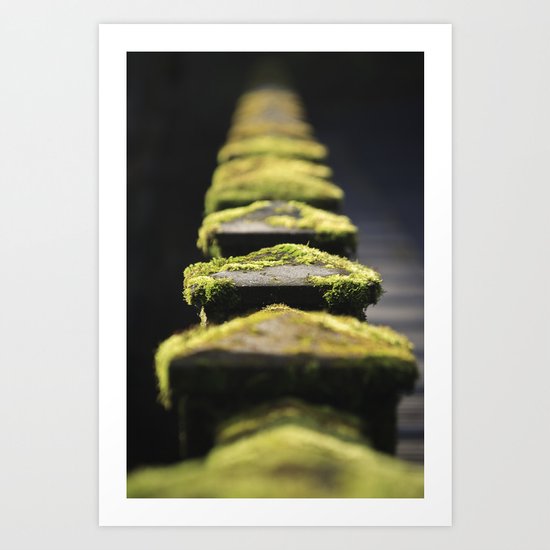 Mossy Art Print