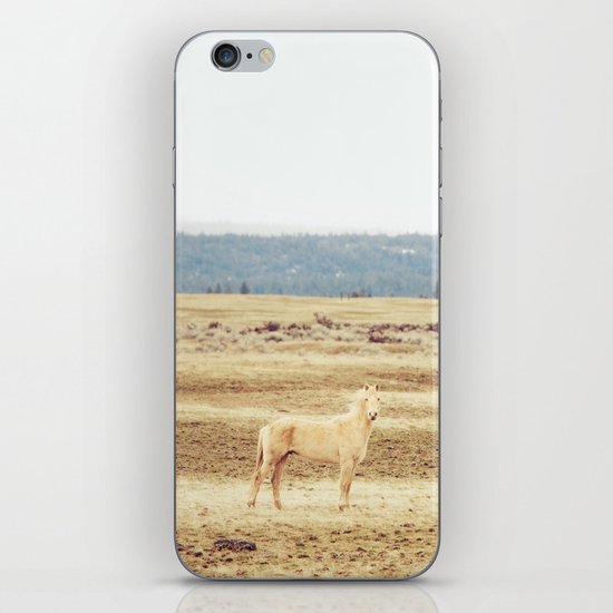 Two Oregon Horses iPhone & iPod Skin
