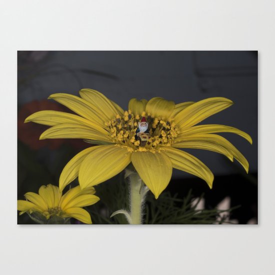 Gnome Flower Harvest Canvas Print