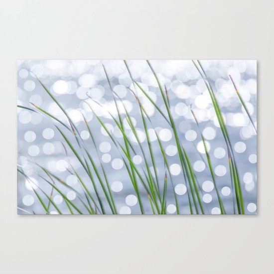 Bed of reeds Canvas Print