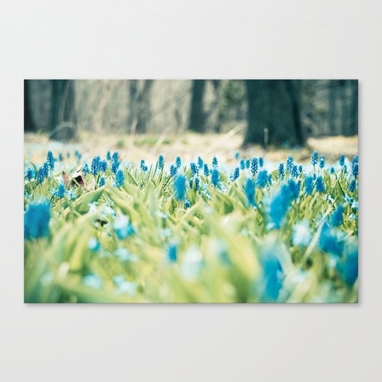 Grounded Canvas Print