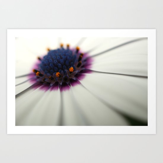 Roses are red, Violets are white..? Art Print