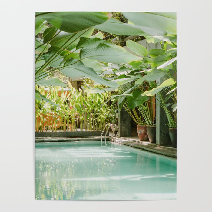 Tropical Palm Tree Pool, Palm Beach, Florida Poster