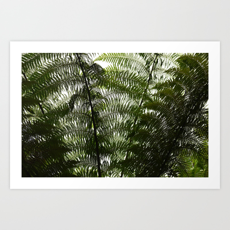 Fern Wall Art Print By Opuntiaart Society6