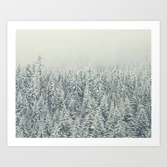 Winter Forest Art Print