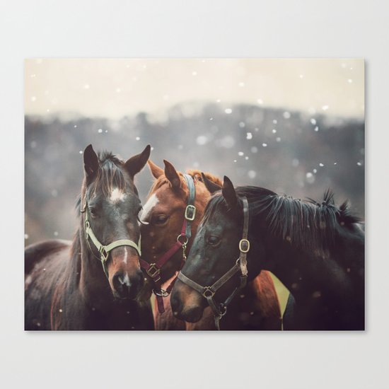 Nuzzle Canvas Print