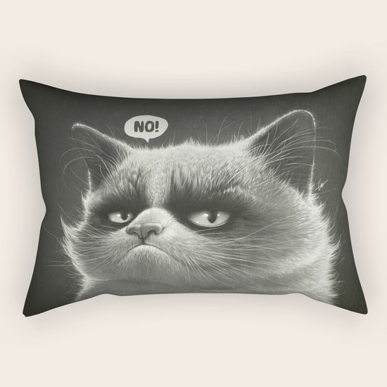 No! Rectangular Pillow