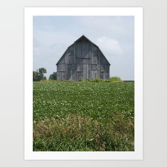 Abandoned Barn 5 Art Print