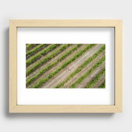 Mama kissing baby in the grape vines - Aerial Drone Art Recessed Framed Print