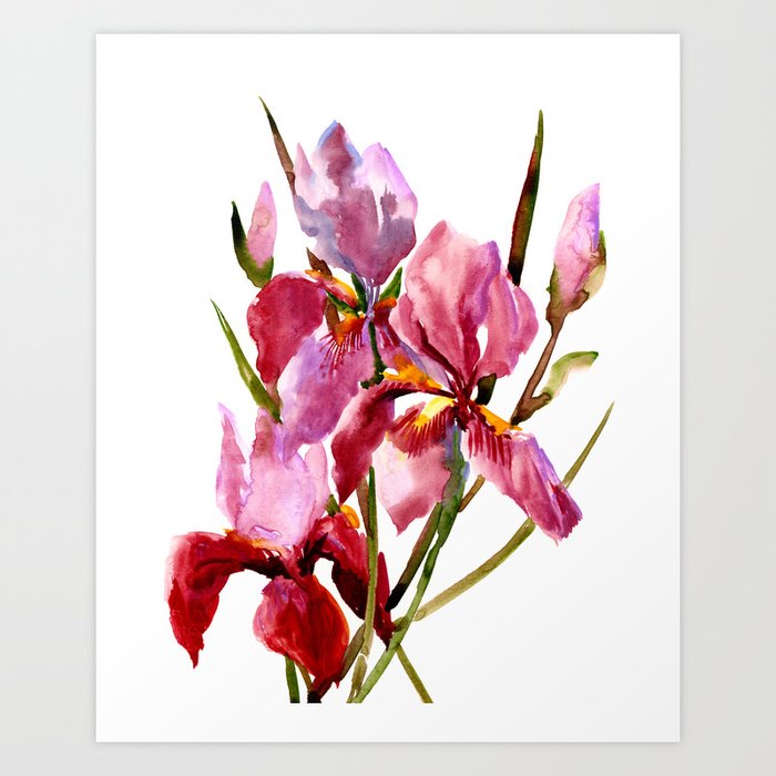 Purple Pink Iris Flowers Art Print by SurenArt | Society6