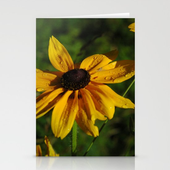 Black Eyed Susans Stationery Cards