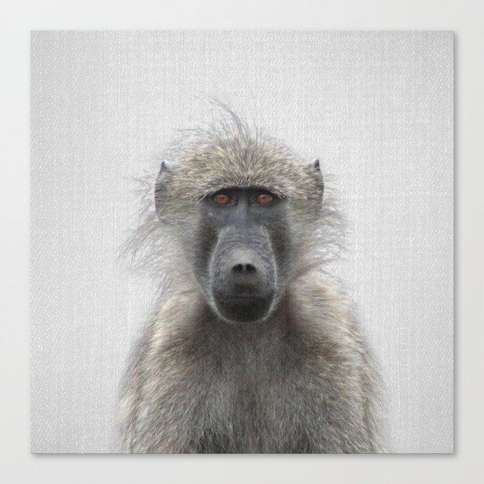 Canvas Print
