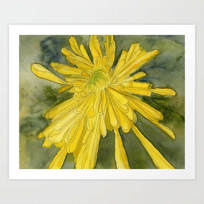 Chrysanthemum, Golden Flower, November Birth Flower Art Print