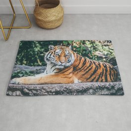 Majestic Tiger Sitting On A Rock Photography Area & Throw Rug