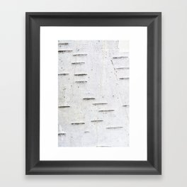 Birch bark pattern Framed Art Print