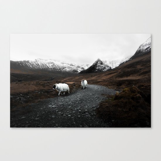 Sheep in the highlands #adventure Canvas Print