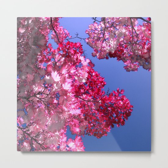 pink tree XI Metal Print