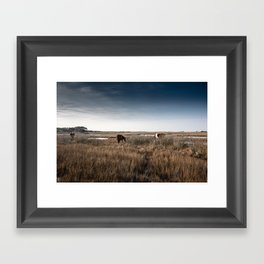 Assateague Wild Horses Framed Art Print