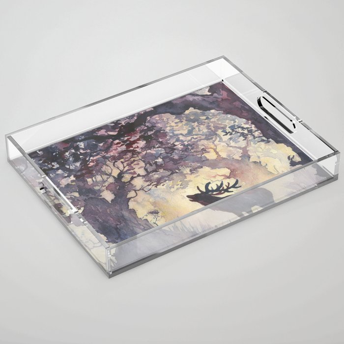 Forest evening Acrylic Tray