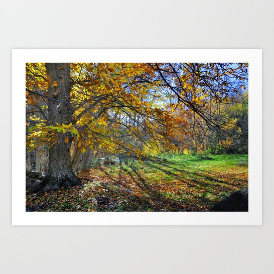 multicolored autumn Art Print
