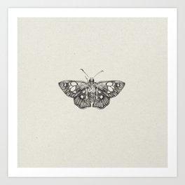 Moth Line Drawing Art Print