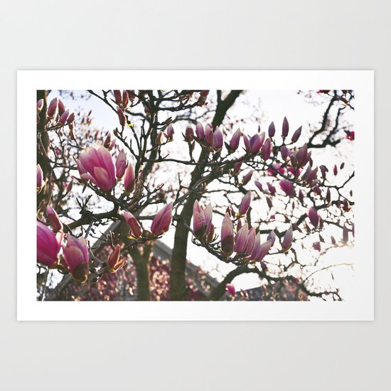 Flower Filled Days Art Print