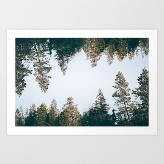 Forest Reflections IX Art Print